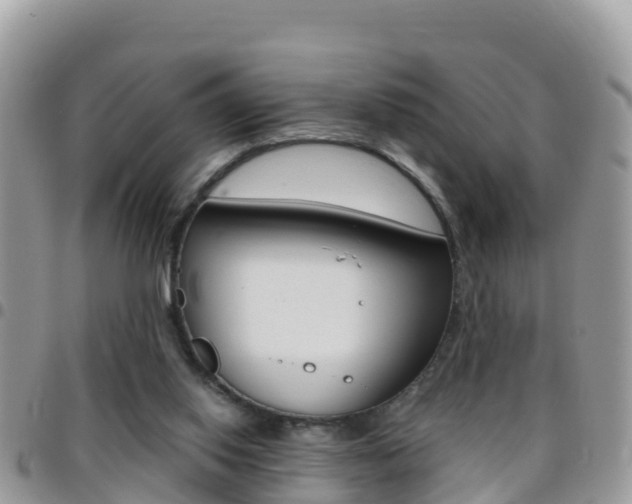 X0000096160062200801180900