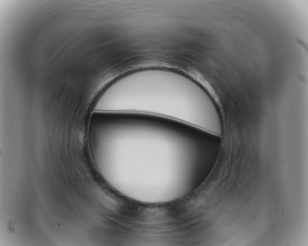 X0000096160063200801180900