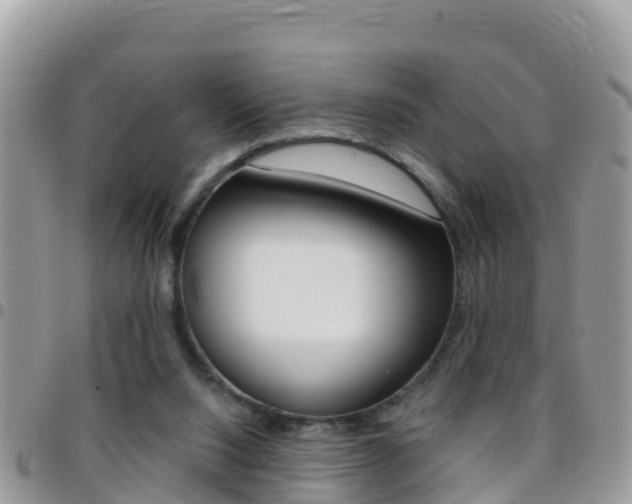 X0000096160064200801180900
