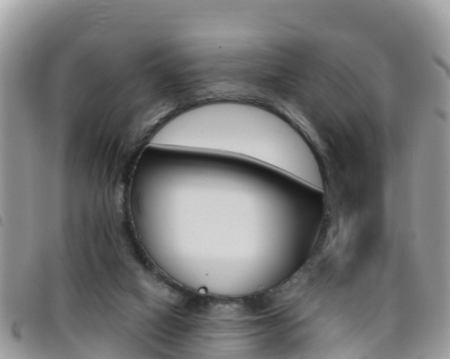 X0000096160066200801180900