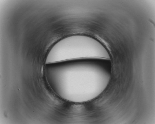 X0000096160067200801180900