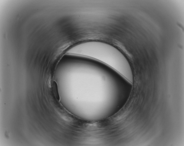 X0000096160068200801180900
