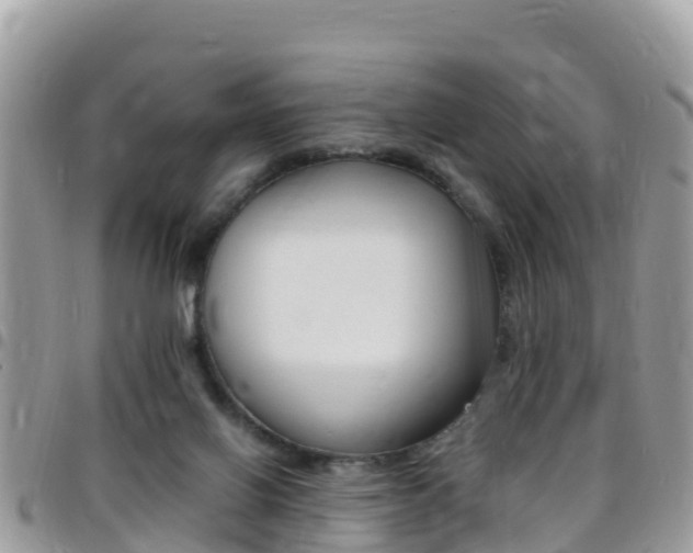 X0000096160070200801180900
