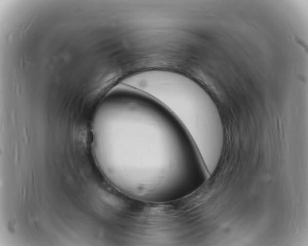 X0000096160072200801180900