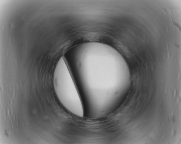 X0000096160073200801180900