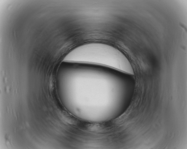 X0000096160074200801180900
