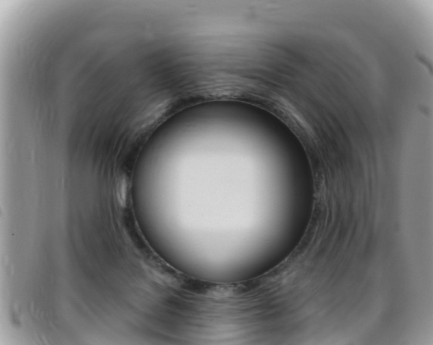 X0000096160076200801180900