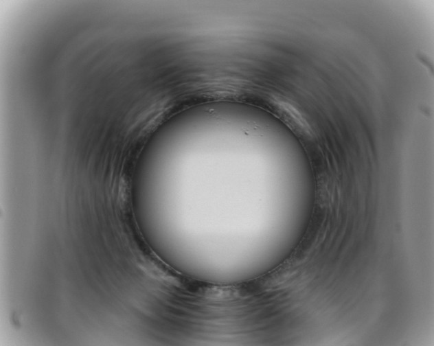 X0000096160077200801180900