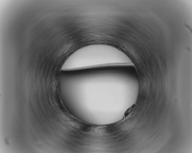 X0000096160078200801180900
