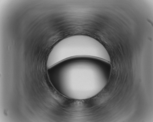 X0000096160080200801180900