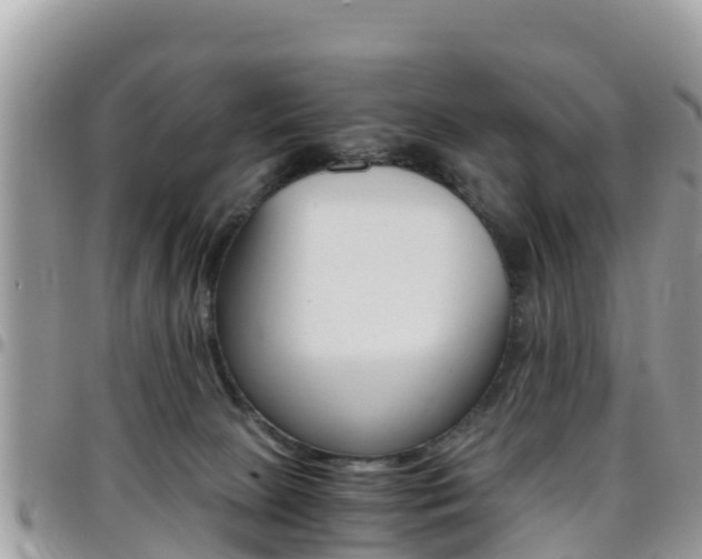 X0000096160081200801180900