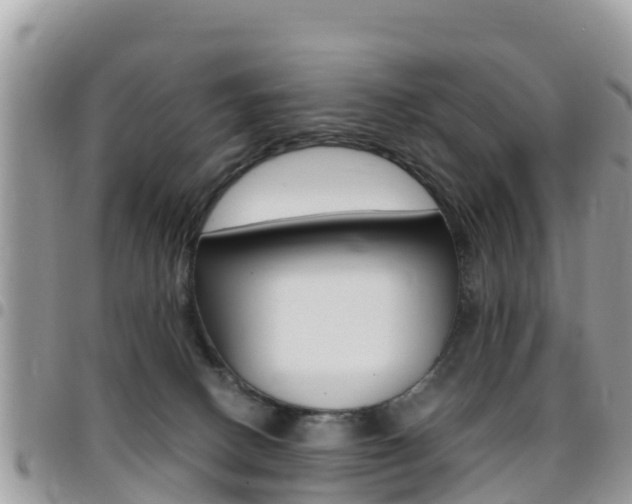 X0000096160082200801180900