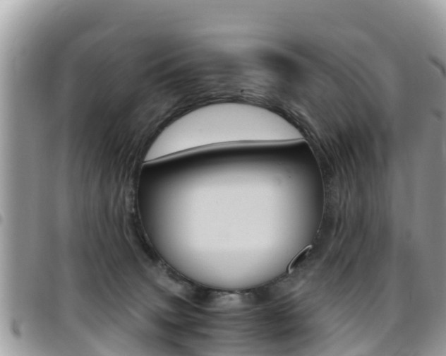 X0000096160083200801180900