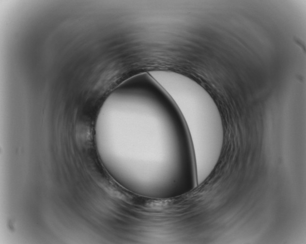 X0000096160084200801180900