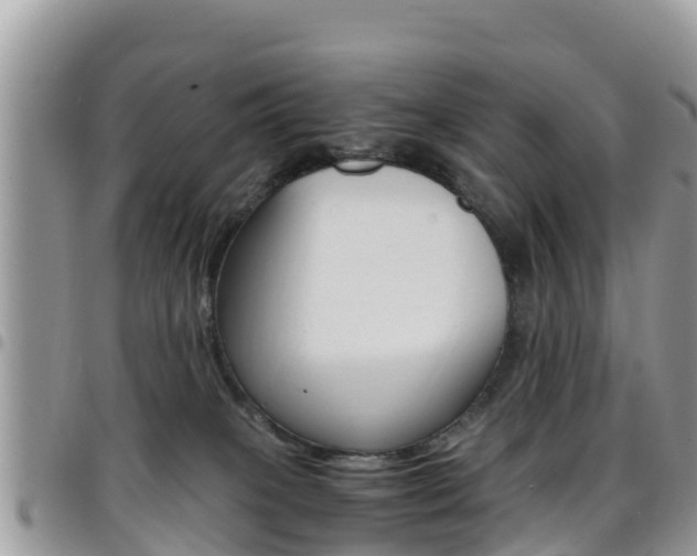 X0000096160085200801180901