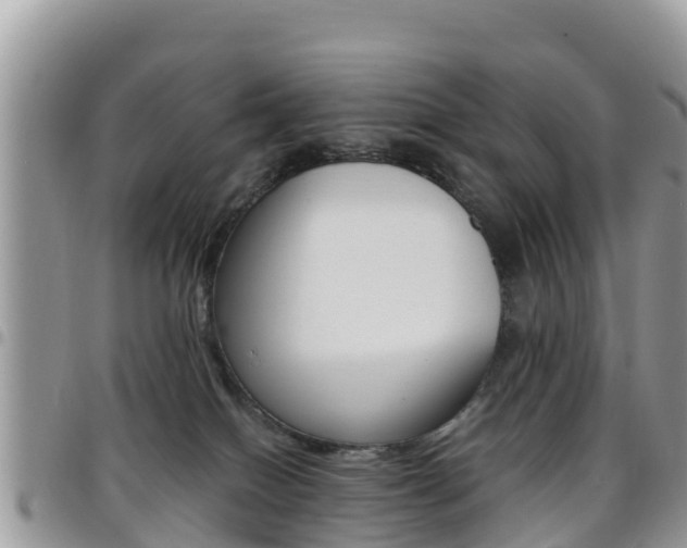 X0000096160086200801180901