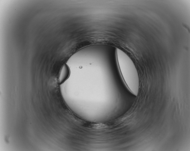 X0000096160087200801180901