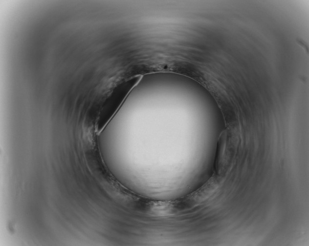 X0000096160088200801180901