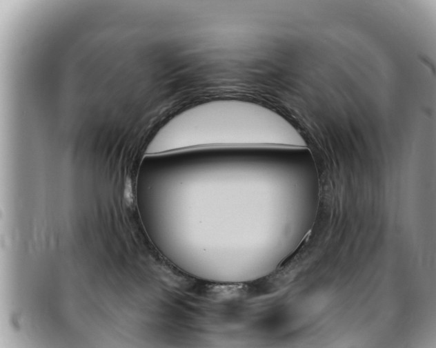 X0000096160089200801180901