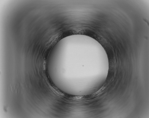 X0000096160090200801180901