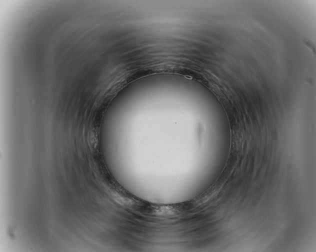 X0000096160091200801180901