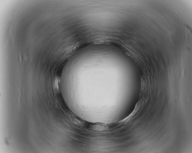 X0000096160094200801180901