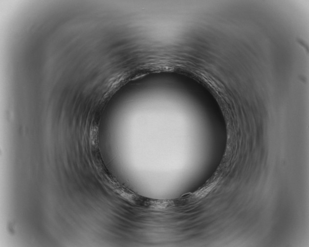 X0000096160096200801180901