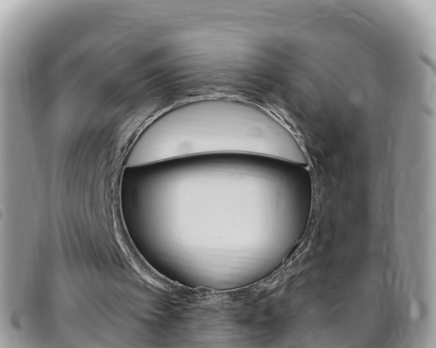 X0000096160097200801180900