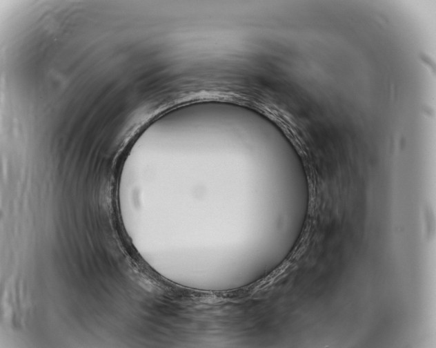 X0000096160098200801180900