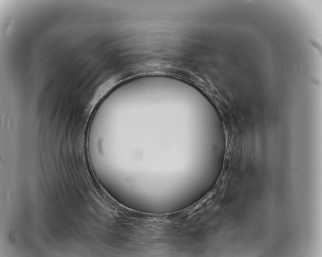 X0000096160099200801180900