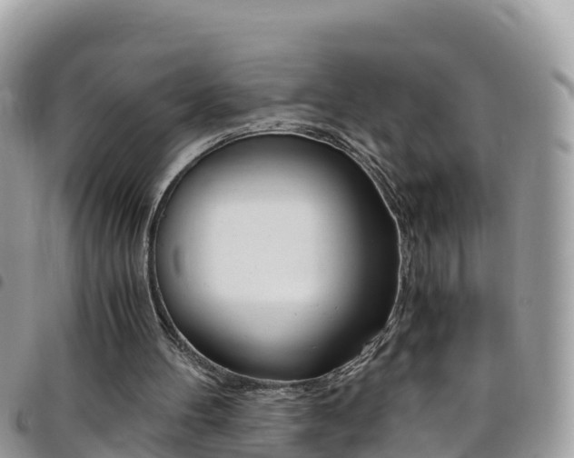 X0000096160100200801180900