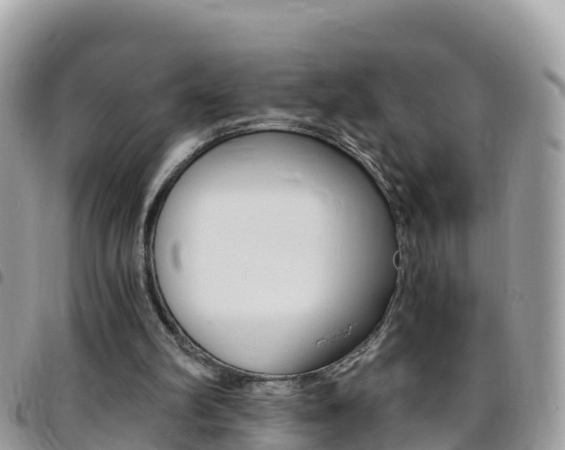 X0000096160102200801180900