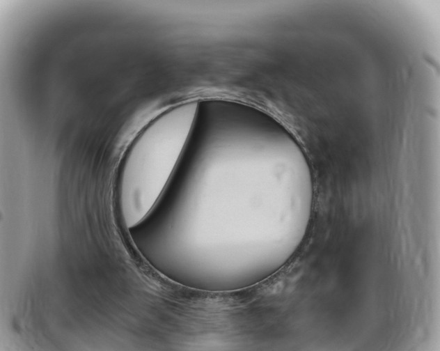 X0000096160103200801180900