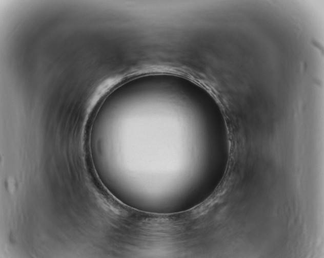 X0000096160104200801180900