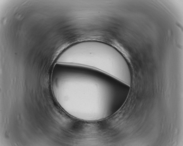 X0000096160107200801180900