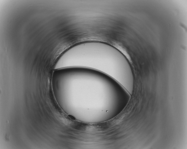 X0000096160109200801180900