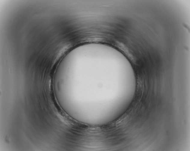 X0000096160110200801180900
