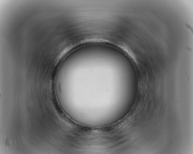 X0000096160111200801180900