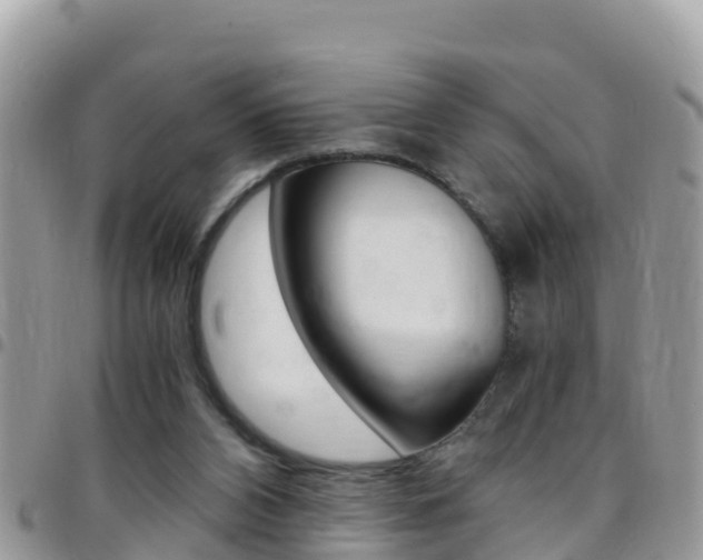 X0000096160112200801180900