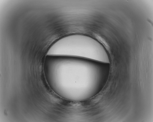 X0000096160113200801180900