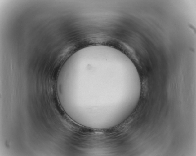 X0000096160114200801180900