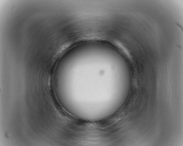X0000096160115200801180900