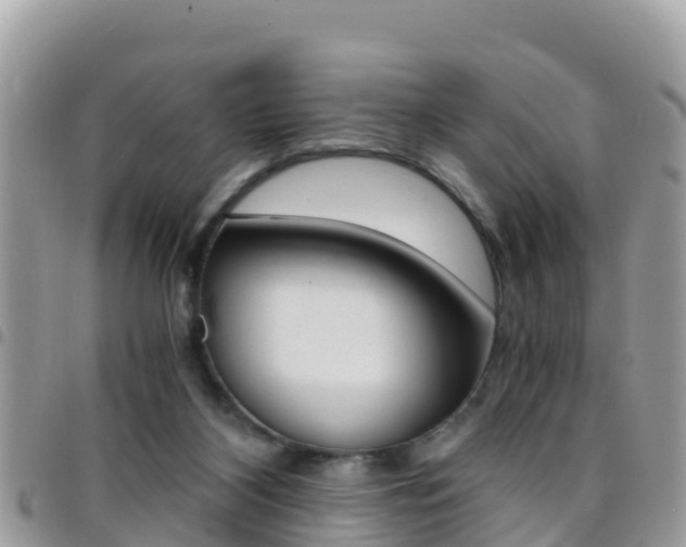 X0000096160116200801180900