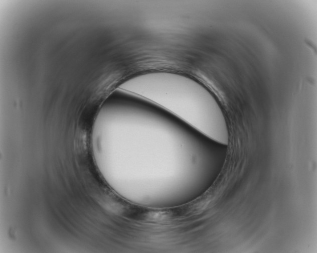 X0000096160117200801180900