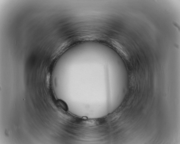 X0000096160118200801180900