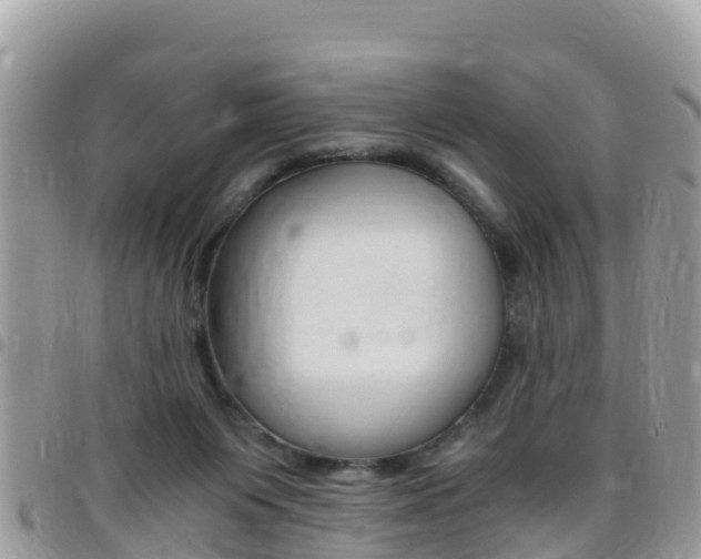 X0000096160119200801180900
