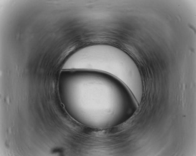 X0000096160120200801180900