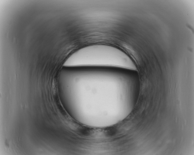 X0000096160121200801180900