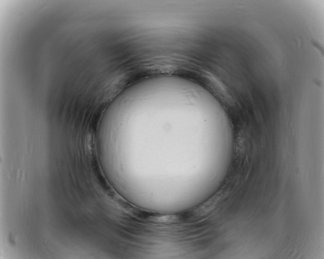 X0000096160122200801180900