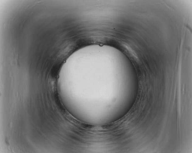X0000096160123200801180900